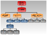 Organization diagram 2